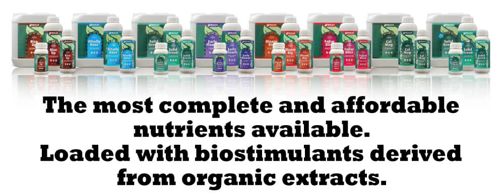 Best nutrients enriched with organic extracts